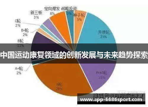 中国运动康复领域的创新发展与未来趋势探索